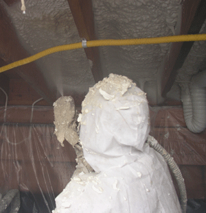 Bismarck ND crawl space insulation